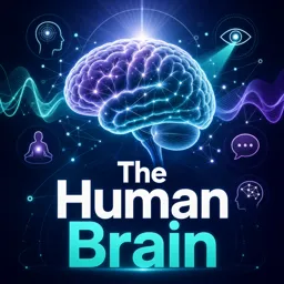 Free Course Image The Human Brain