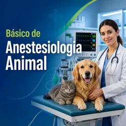 Imagem do Curso gratuito Básico de Anestesiologia Animal