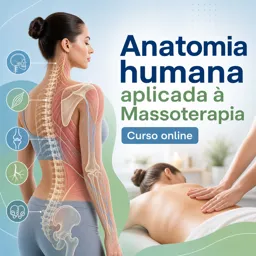 Imagem do Curso gratuito Anatomia humana aplicada à Massoterapia